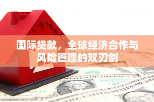 徐汇国际贷款，全球经济合作与风险管理的双刃剑