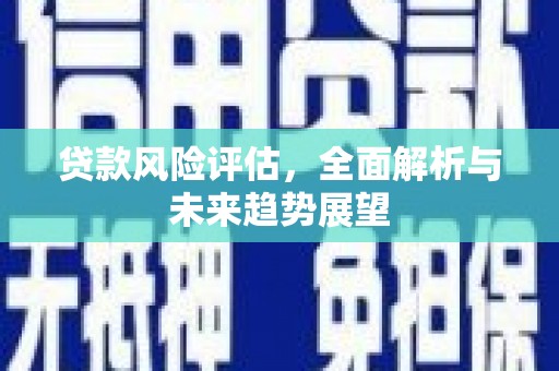 徐汇贷款风险评估，全面解析与未来趋势展望