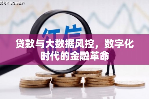 徐汇贷款与大数据风控，数字化时代的金融革命