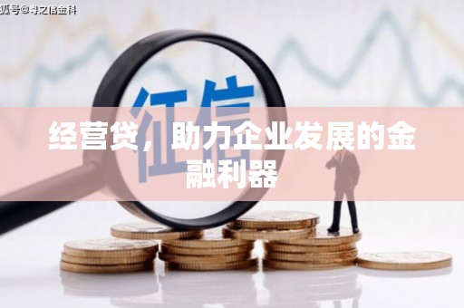 徐汇经营贷，助力企业发展的金融利器