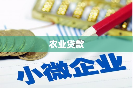 徐汇农业贷款