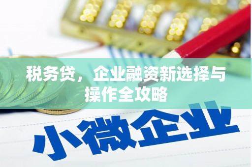 徐汇税务贷，企业融资新选择与操作全攻略