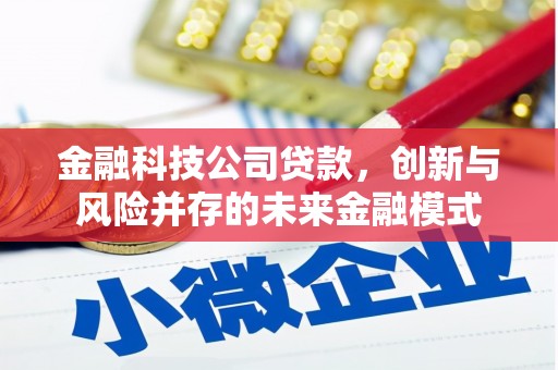 徐汇金融科技公司贷款，创新与风险并存的未来金融模式