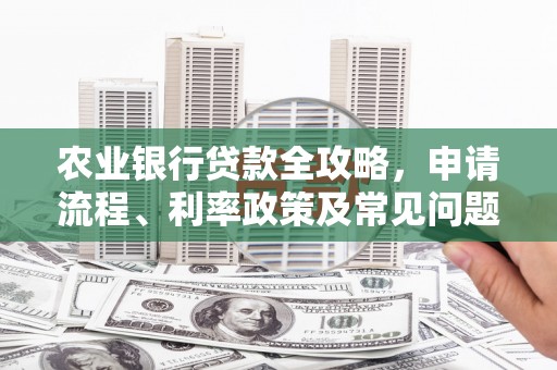 徐汇农业银行贷款全攻略，申请流程、利率政策及常见问题解析