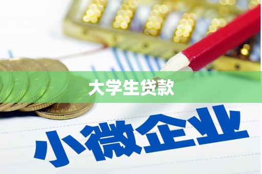 徐汇大学生贷款