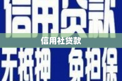 徐汇信用社贷款