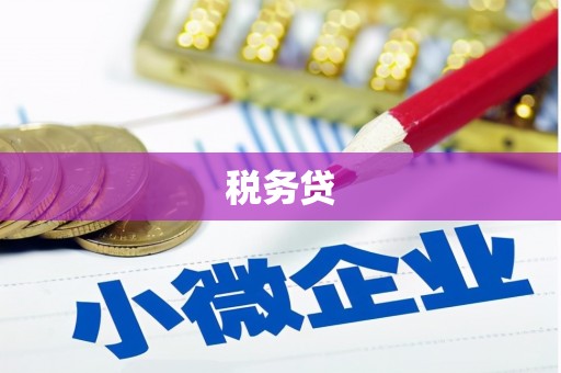 徐汇税务贷