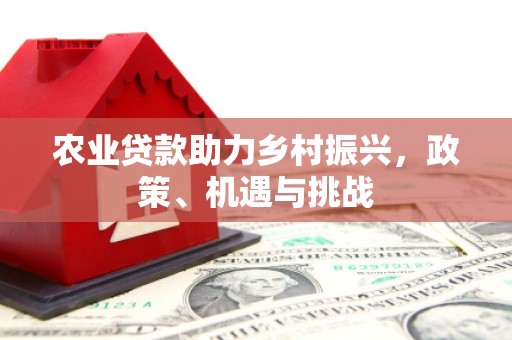 徐汇农业贷款助力乡村振兴，政策、机遇与挑战