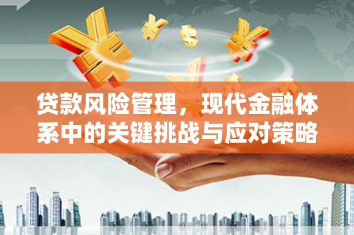 徐汇贷款风险管理，现代金融体系中的关键挑战与应对策略