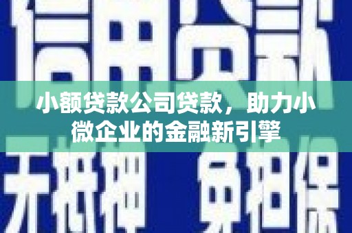 徐汇小额贷款公司贷款，助力小微企业的金融新引擎