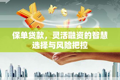 徐汇保单贷款，灵活融资的智慧选择与风险把控