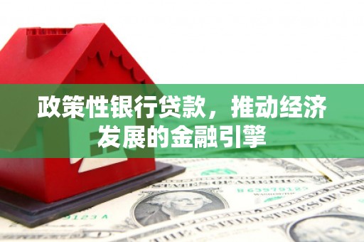徐汇政策性银行贷款，推动经济发展的金融引擎