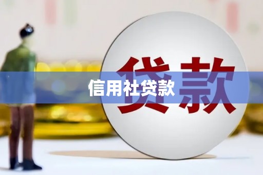 徐汇信用社贷款