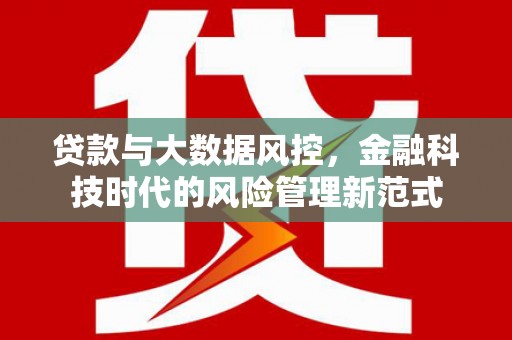 徐汇贷款与大数据风控，金融科技时代的风险管理新范式