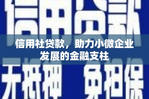 徐汇信用社贷款，助力小微企业发展的金融支柱