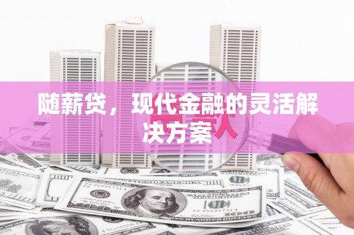徐汇随薪贷，现代金融的灵活解决方案