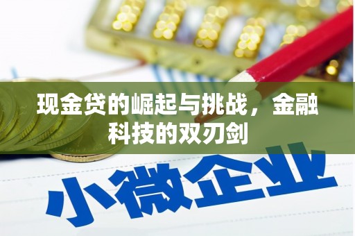 徐汇现金贷的崛起与挑战，金融科技的双刃剑