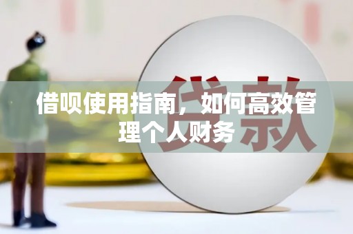 徐汇借呗使用指南，如何高效管理个人财务