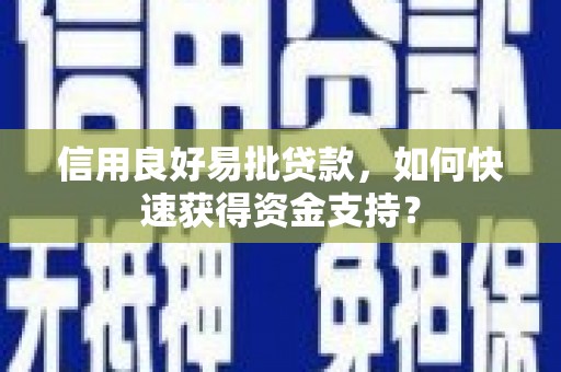 徐汇信用良好易批贷款，如何快速获得资金支持？