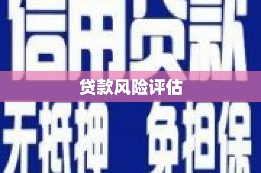 徐汇贷款风险评估
