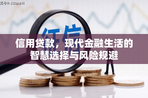 徐汇信用贷款，现代金融生活的智慧选择与风险规避