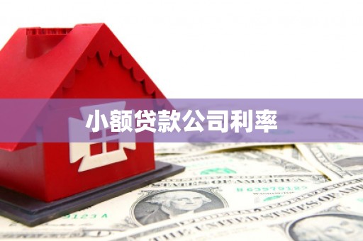 徐汇小额贷款公司利率