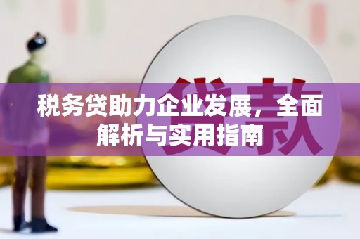 徐汇税务贷助力企业发展，全面解析与实用指南