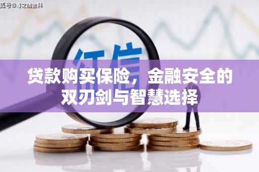 徐汇贷款购买保险，金融安全的双刃剑与智慧选择