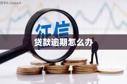 徐汇贷款逾期怎么办