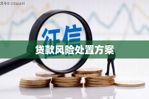 徐汇贷款风险处置方案