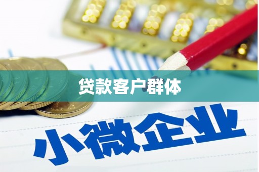 徐汇贷款客户群体