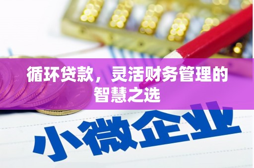 徐汇循环贷款，灵活财务管理的智慧之选