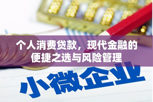 徐汇个人消费贷款，现代金融的便捷之选与风险管理