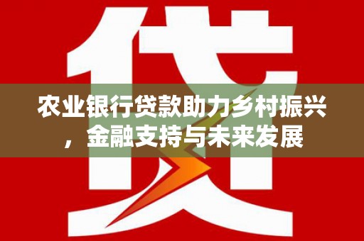 徐汇农业银行贷款助力乡村振兴，金融支持与未来发展