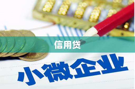 徐汇信用贷