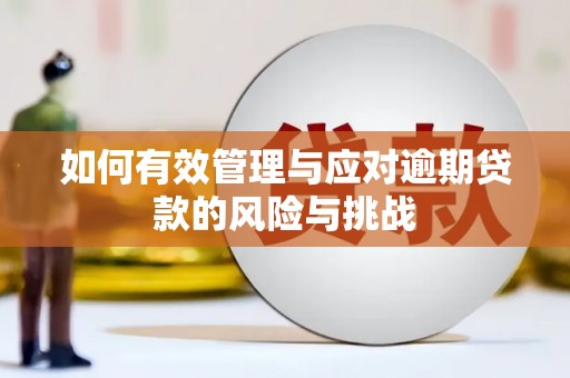 徐汇如何有效管理与应对逾期贷款的风险与挑战