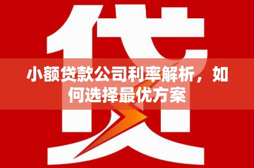 徐汇小额贷款公司利率解析，如何选择最优方案