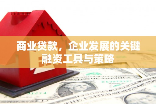 徐汇商业贷款，企业发展的关键融资工具与策略