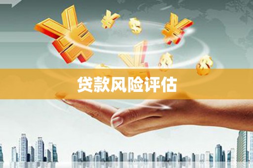 徐汇贷款风险评估