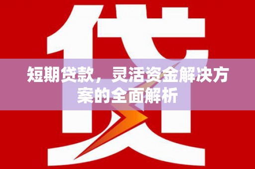 徐汇短期贷款，灵活资金解决方案的全面解析
