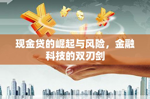 徐汇现金贷的崛起与风险，金融科技的双刃剑