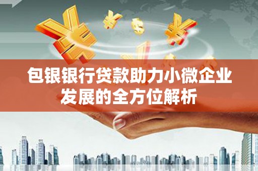 徐汇包银银行贷款助力小微企业发展的全方位解析 徐汇包银银行贷款助力小微企业发展的全方位解析