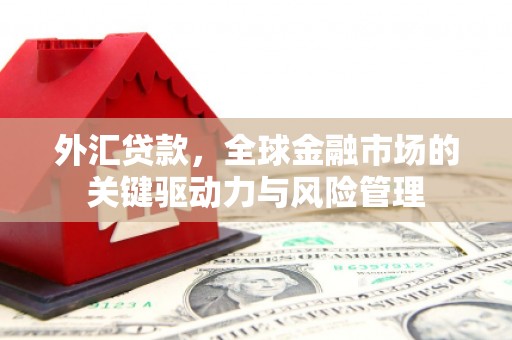 徐汇外汇贷款，全球金融市场的关键驱动力与风险管理
