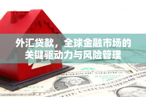 徐汇外汇贷款，全球金融市场的关键驱动力与风险管理
