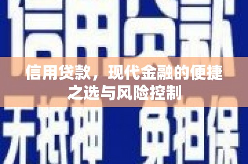 徐汇信用贷款，现代金融的便捷之选与风险控制