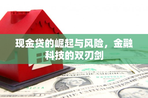 徐汇现金贷的崛起与风险，金融科技的双刃剑