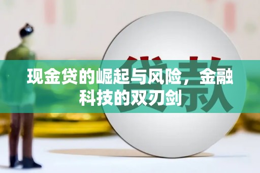 徐汇现金贷的崛起与风险，金融科技的双刃剑