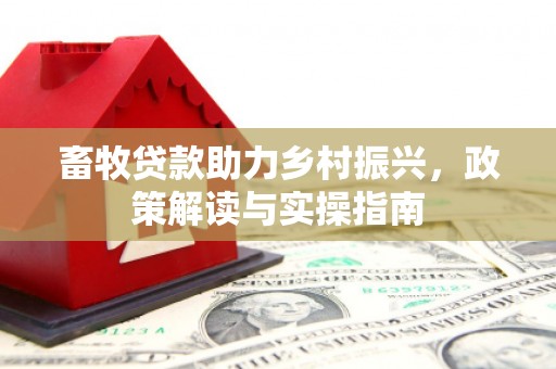 徐汇畜牧贷款助力乡村振兴，政策解读与实操指南