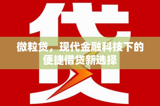 徐汇微粒贷，现代金融科技下的便捷借贷新选择