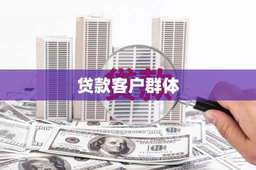 徐汇贷款客户群体